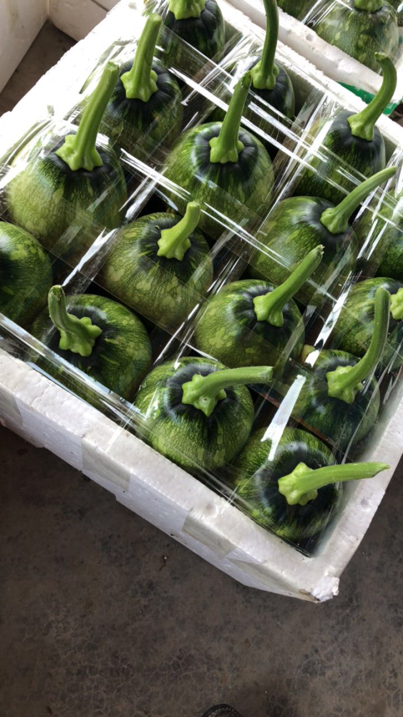 丽水市精品花皮小南瓜量大，精品包装，货量大