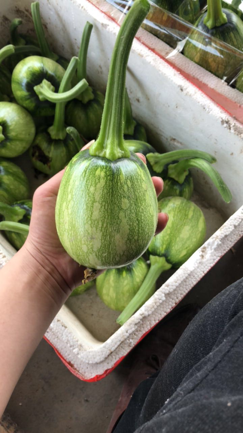 丽水市精品花皮小南瓜量大，精品包装，货量大