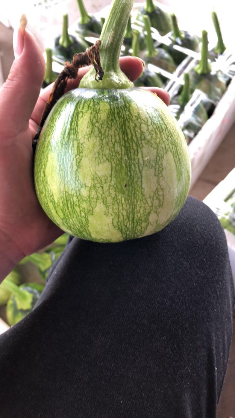 丽水市精品花皮小南瓜量大，精品包装，货量大