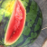 西瓜