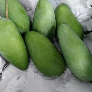 越南一级大青芒支持电商微商一件代发
