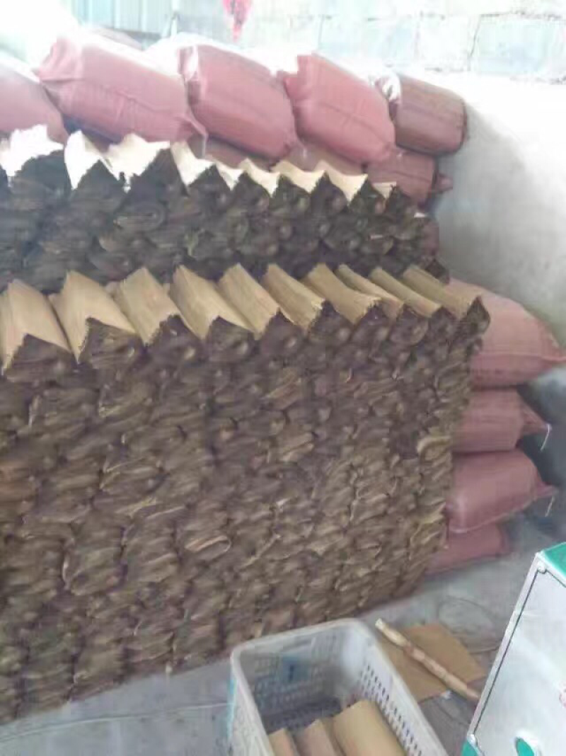 葡萄袋巨峰葡萄袋