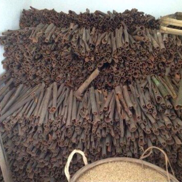 桂皮