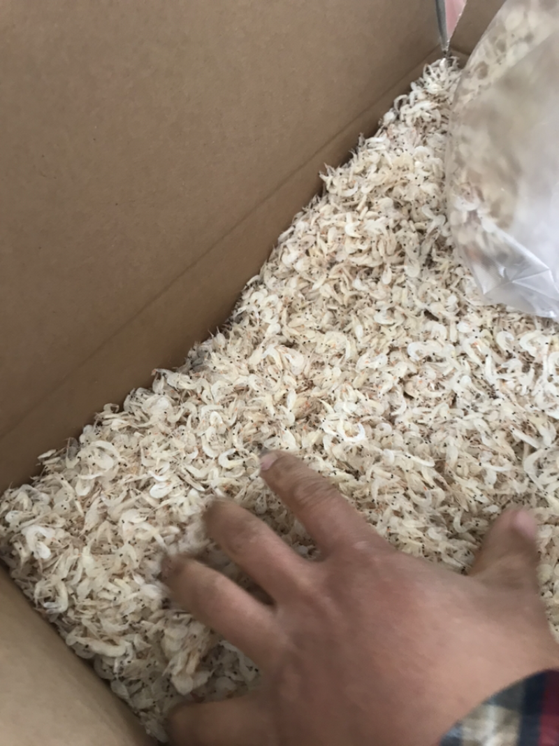 虾皮各种虾爬虾米都有可以合作