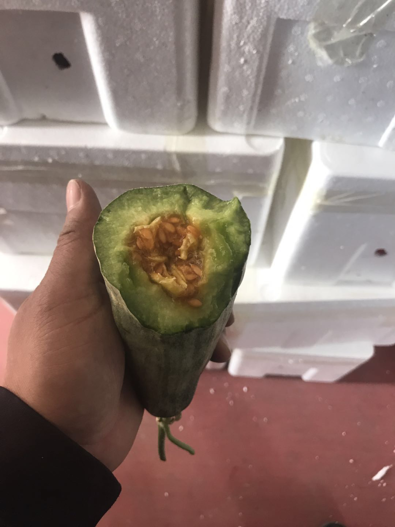 精品羊角蜜甜瓜