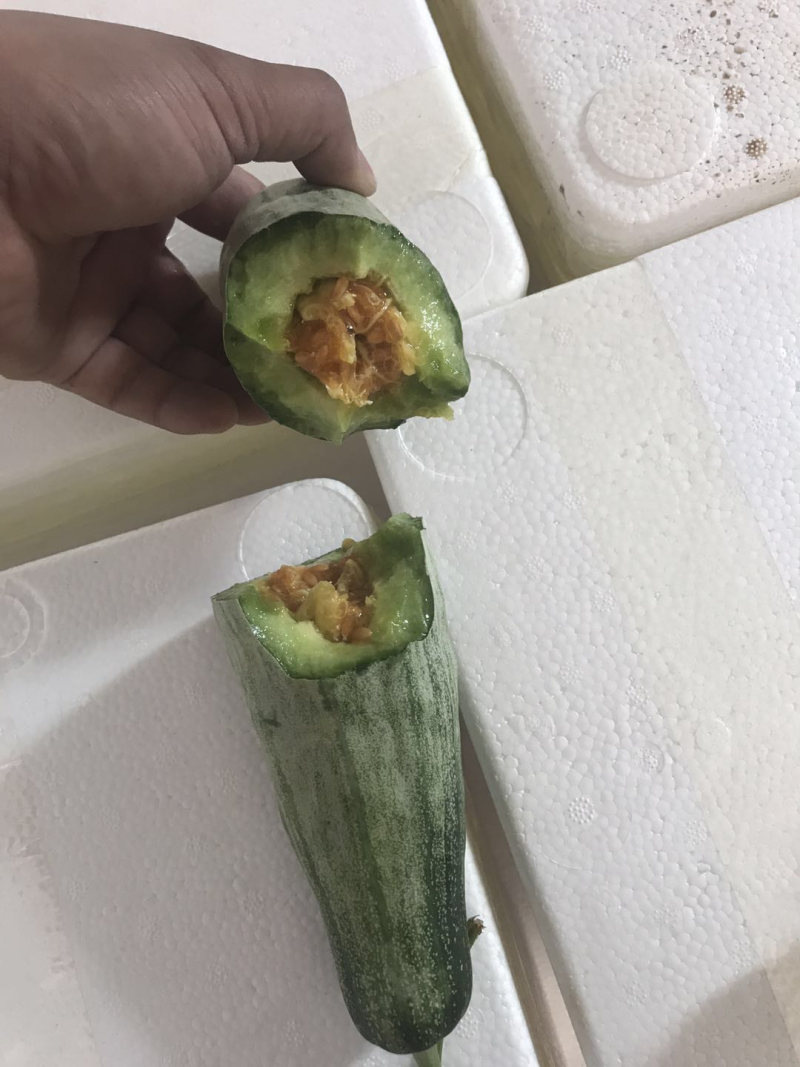 精品羊角蜜甜瓜