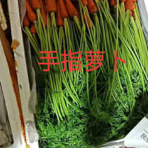 手指萝卜