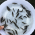 优质鳜鱼苗桂花鱼苗桂鱼苗鳜嘴桂鱼苗