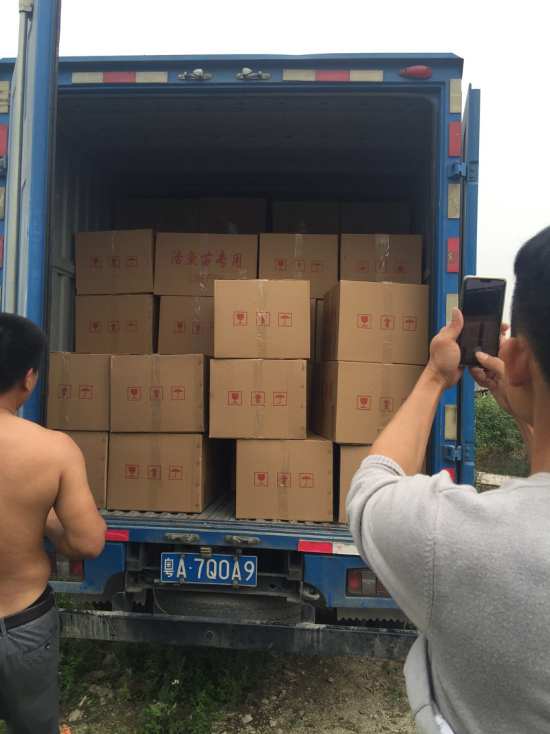 中科三号鲫鱼苗澎泽鲫鱼苗湘云鲫鱼苗