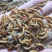 特价批发黄粉虫，虫种，商品虫，开口虫