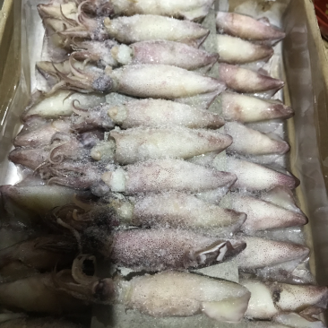 这是小海兔鲜活速冻的。