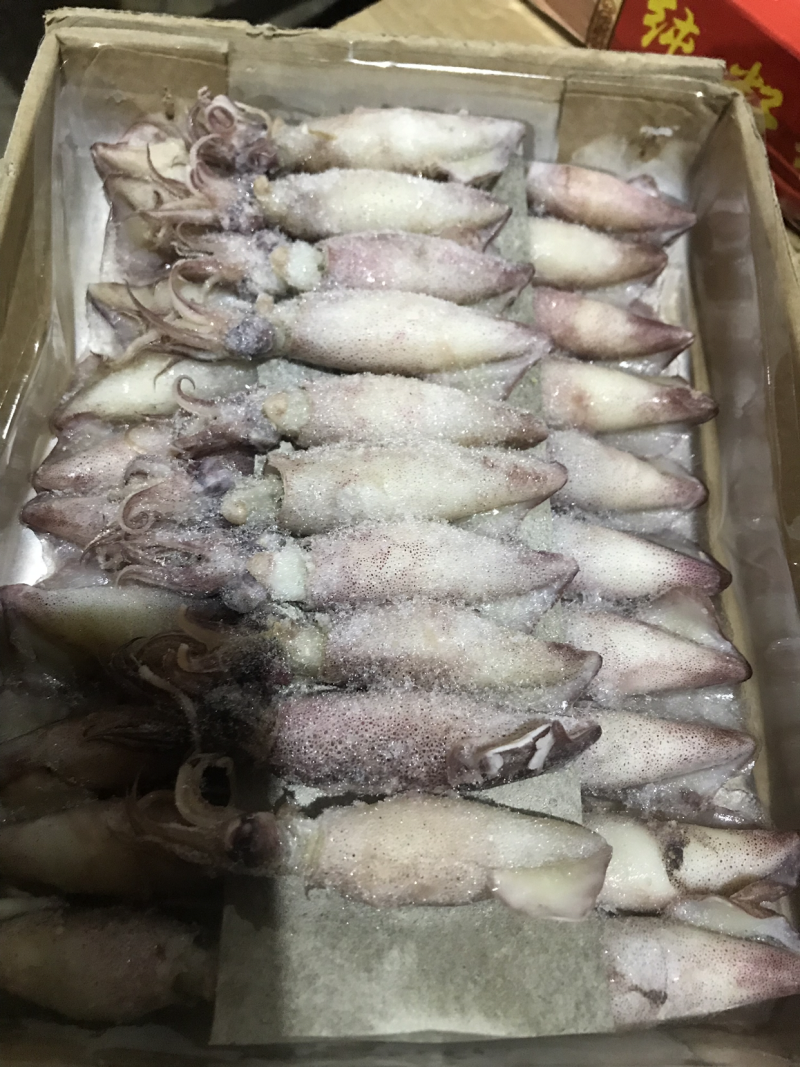 这是小海兔鲜活速冻的。