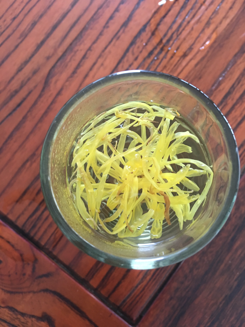 金丝皇菊幼苗菊花苗秋菊秋菊苗贡菊