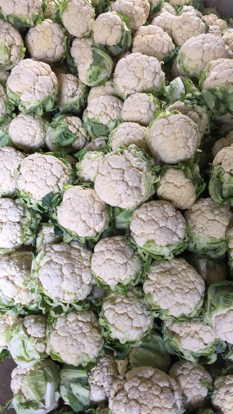 白花菜花紧密乳白1斤，货源充足，质量保证，欢迎大家