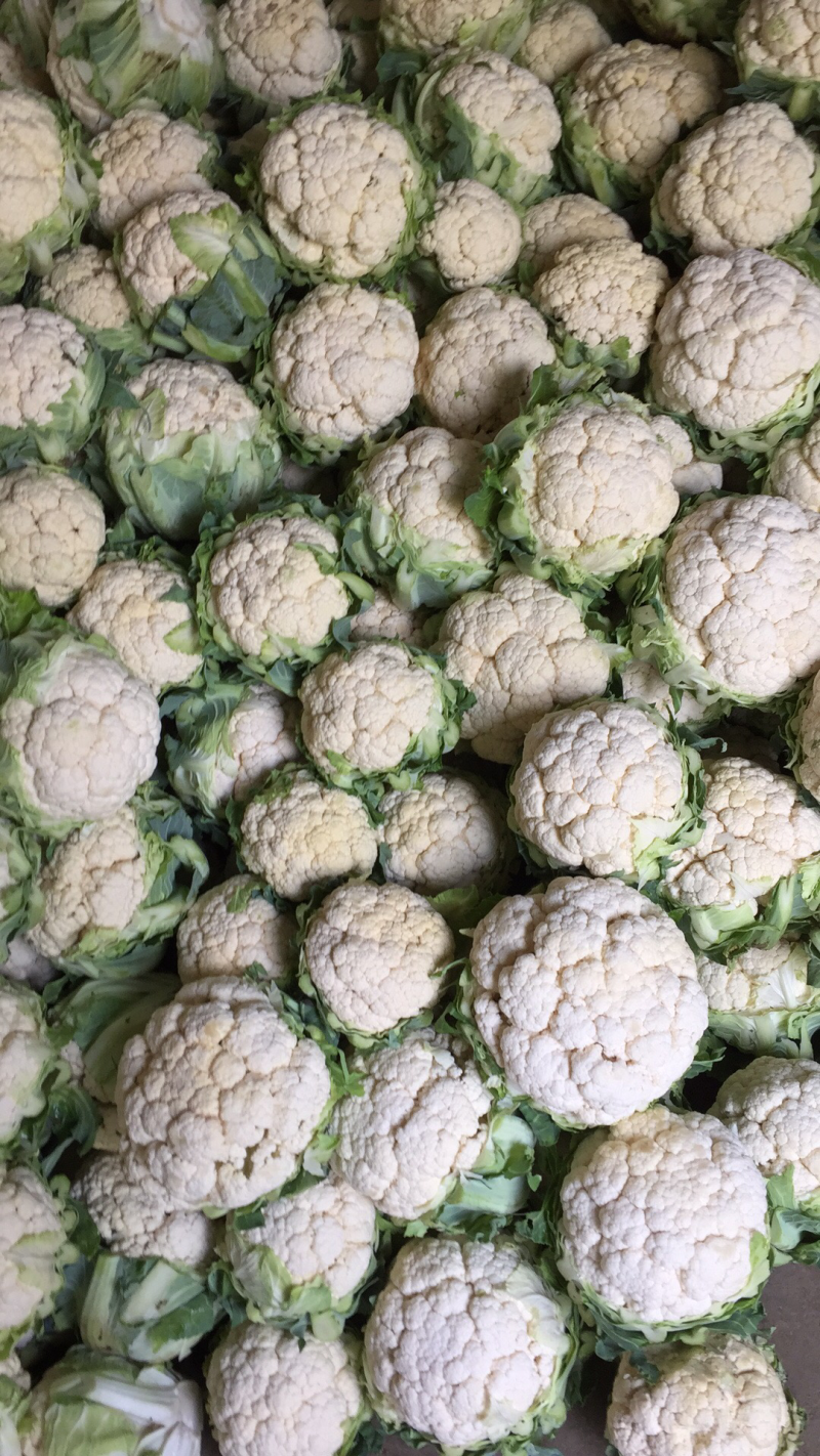 白花菜花紧密乳白1斤，货源充足，质量保证，欢迎大家