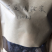 野生竹灵芝
