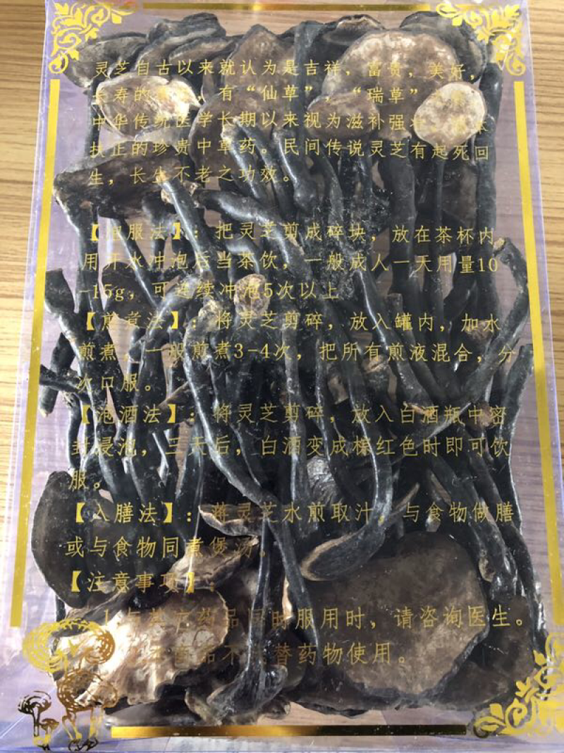 野生竹灵芝