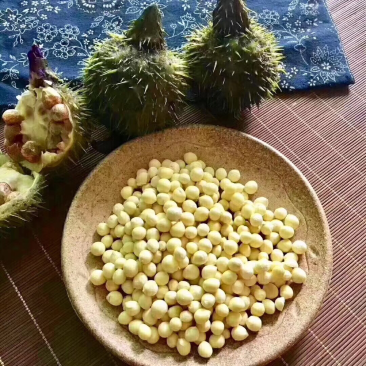 芡实米