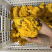 自家种植基地批发新鲜金耳菌脑耳菌