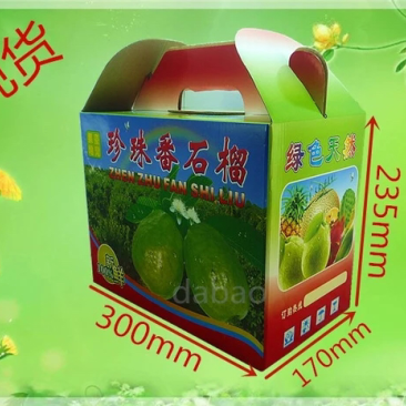 珍珠石榴