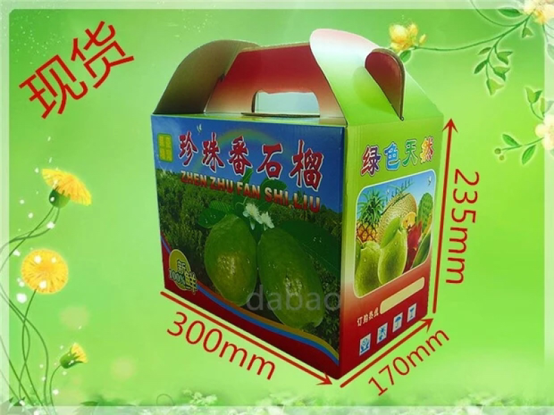 珍珠石榴