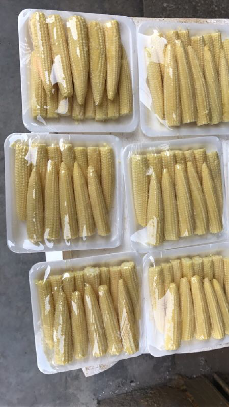 玉米笋