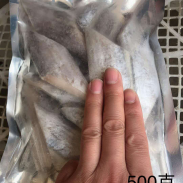 一级带鱼段