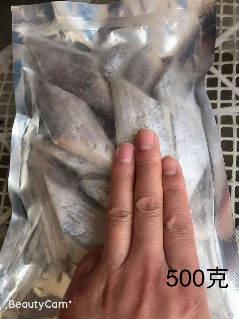 一级带鱼段