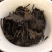 红茶白茶牡丹银针贡眉寿眉老白茶