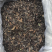 红茶白茶牡丹银针贡眉寿眉老白茶
