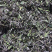 红茶白茶牡丹银针贡眉寿眉老白茶