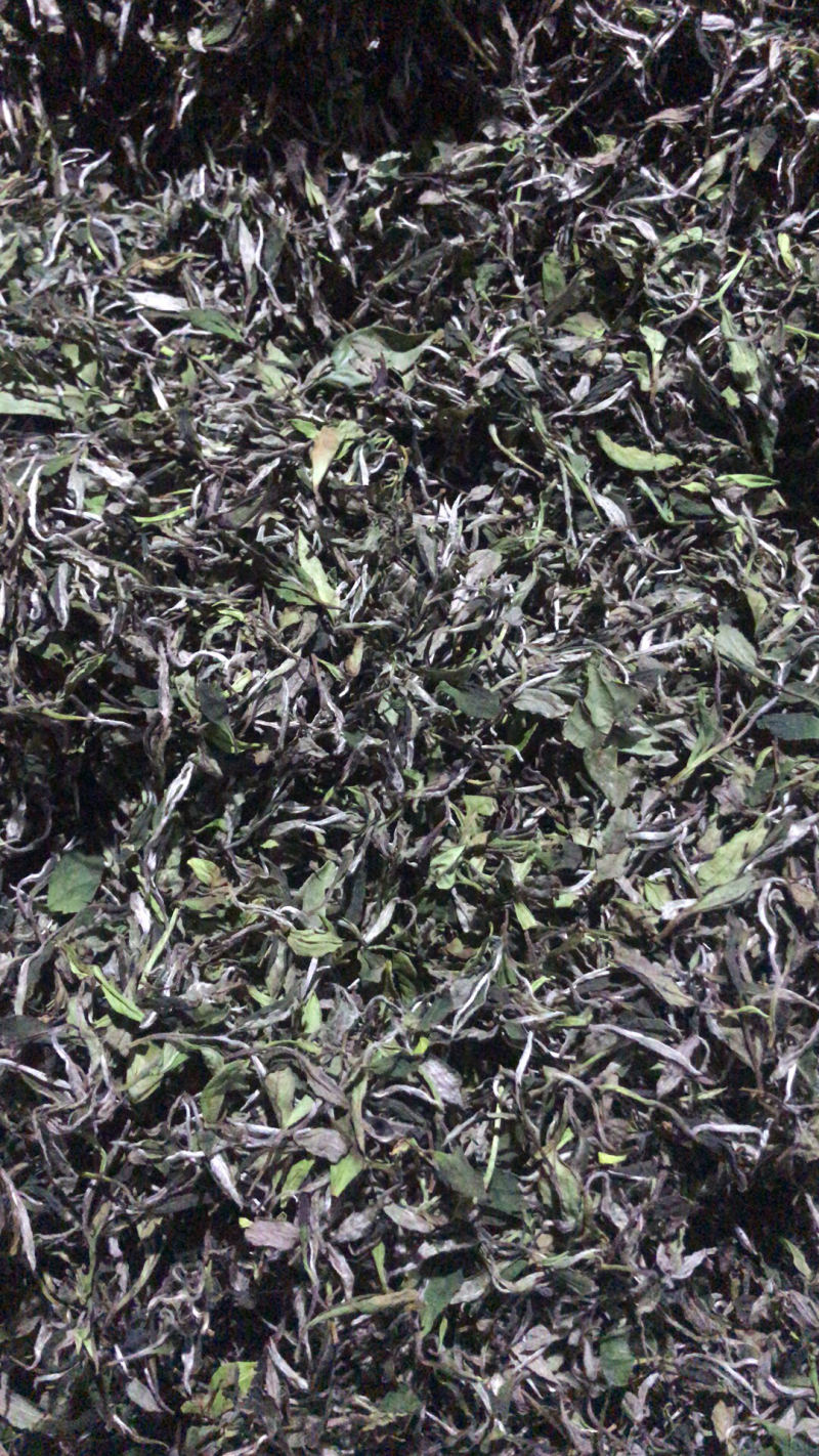 红茶白茶牡丹银针贡眉寿眉老白茶