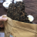红茶白茶牡丹银针贡眉寿眉老白茶