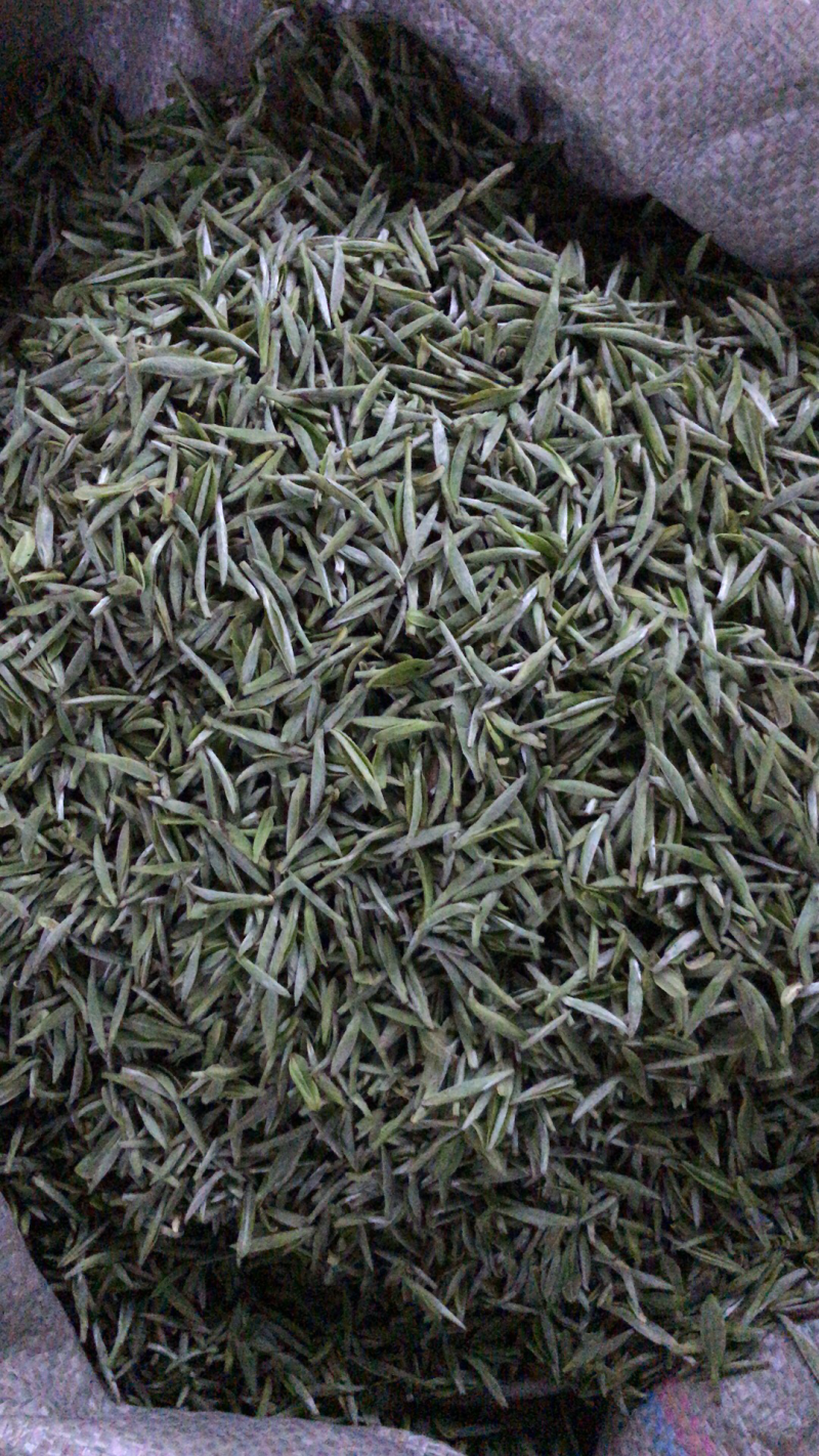 红茶白茶牡丹银针贡眉寿眉老白茶