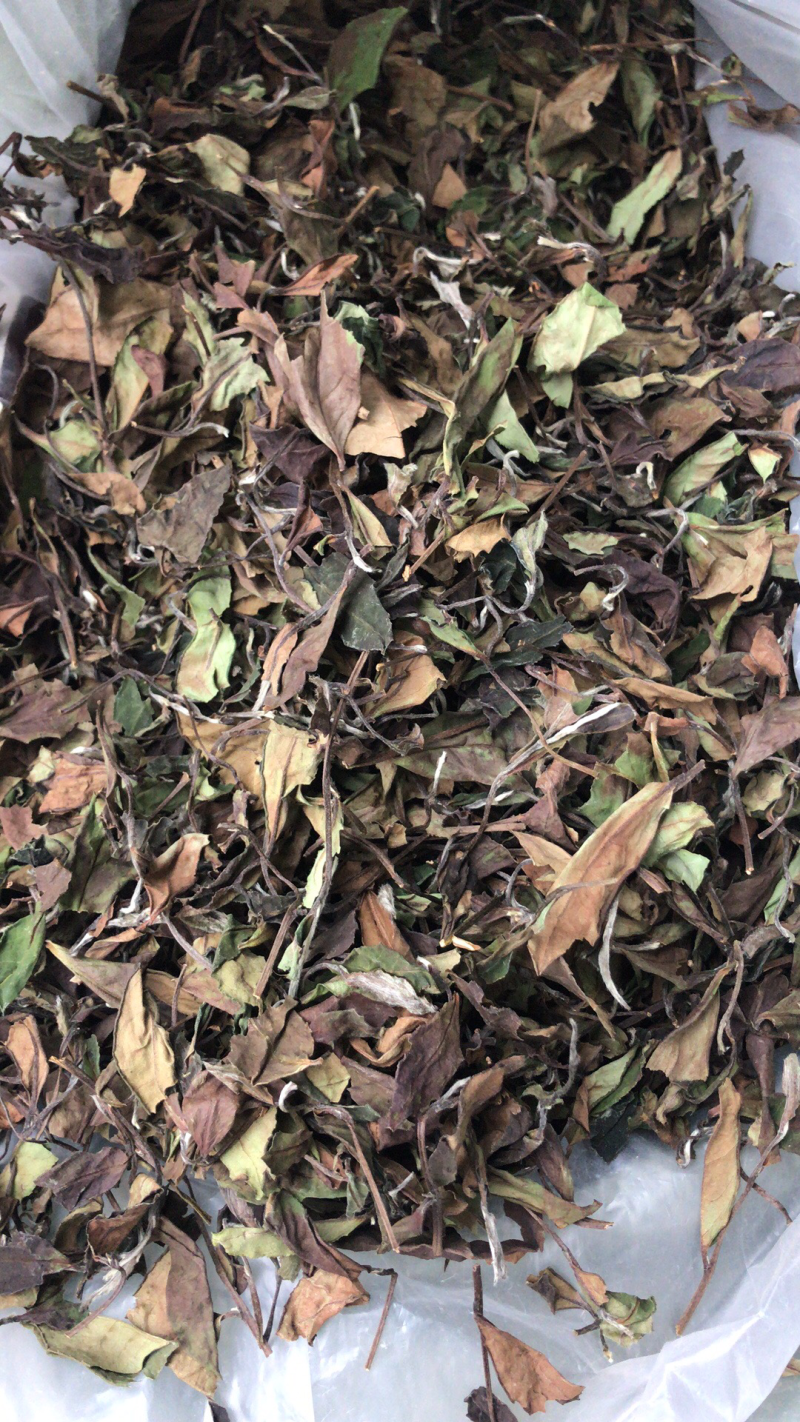 红茶白茶牡丹银针贡眉寿眉老白茶
