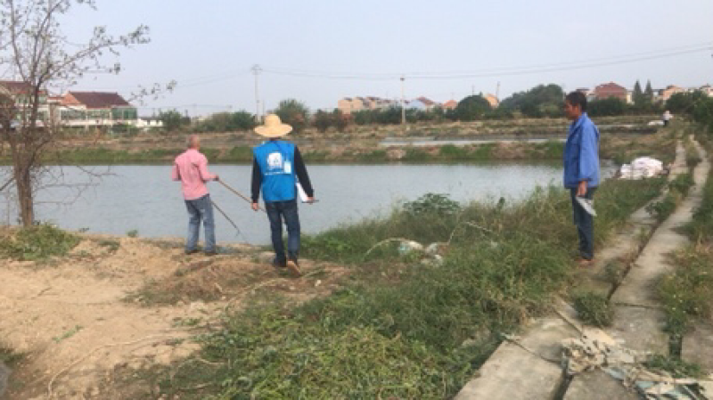 出售本地黑鱼苗与成品黑鱼，什么规格都有。