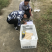 出售本地黑鱼苗与成品黑鱼，什么规格都有。