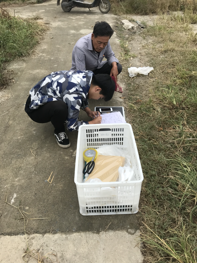 出售本地黑鱼苗与成品黑鱼，什么规格都有。
