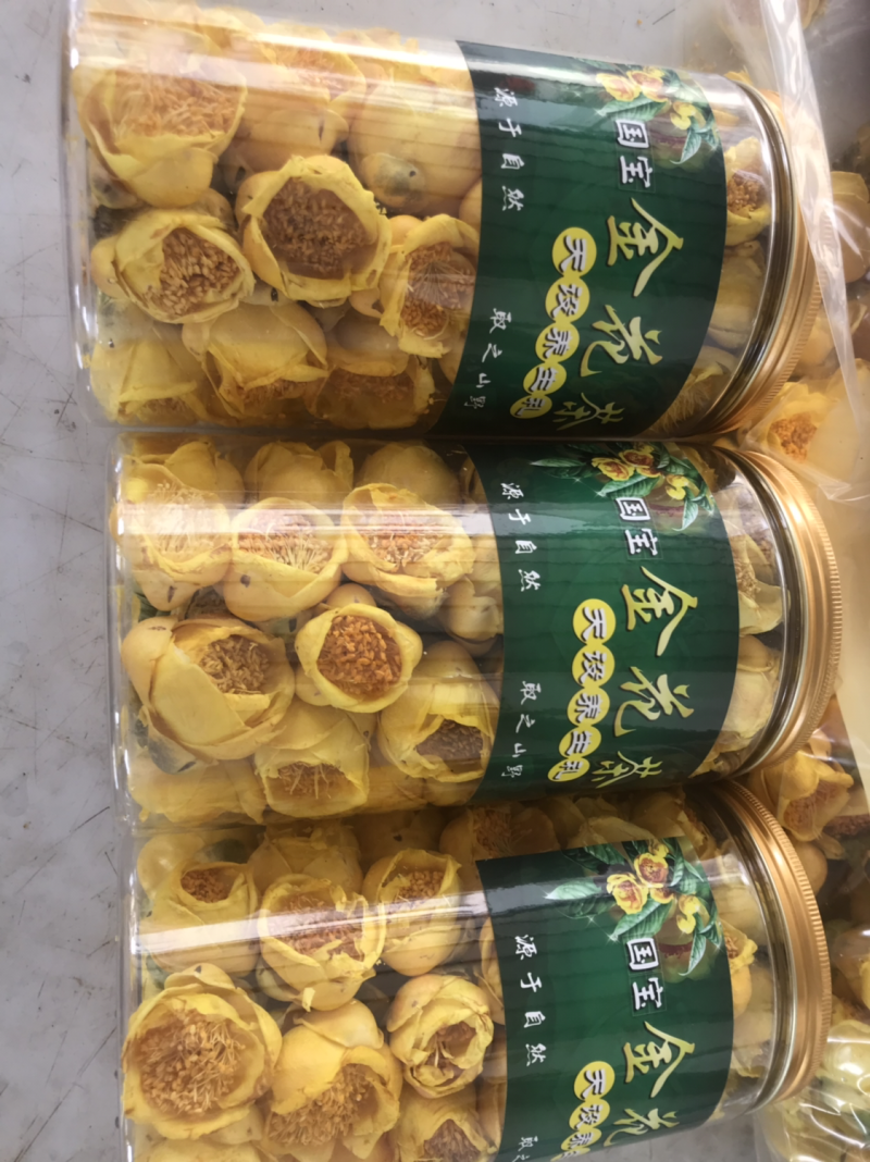 广西防城港厂家直销批发广西防城港金花茶