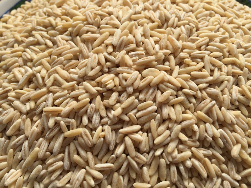 燕麦胚芽米