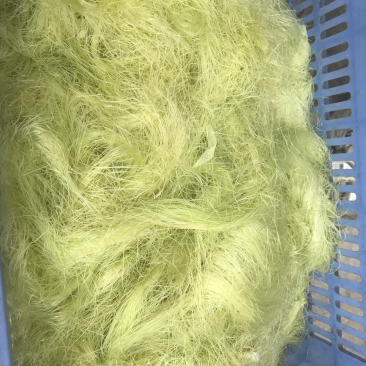 新鲜的玉米须