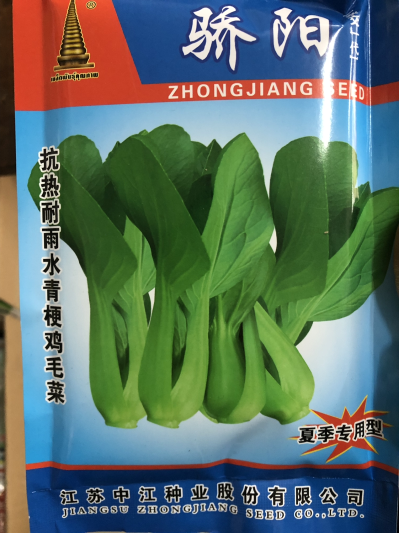 青梗菜种子三伏天耐热品种骄阳青菜油菜种子夏季专用品