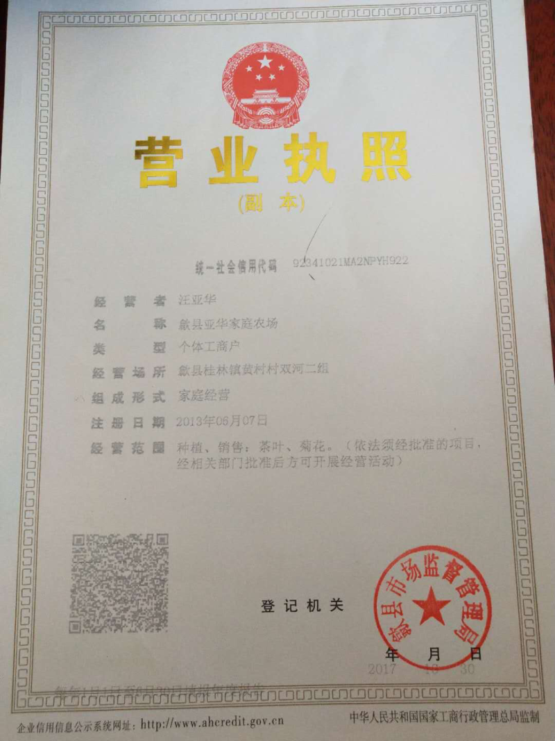 蔓荆子高含量单叶蔓荆子枝条蔓荆子扦插苗优质苗