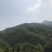 水煮笋干农家日晒毛竹干笋