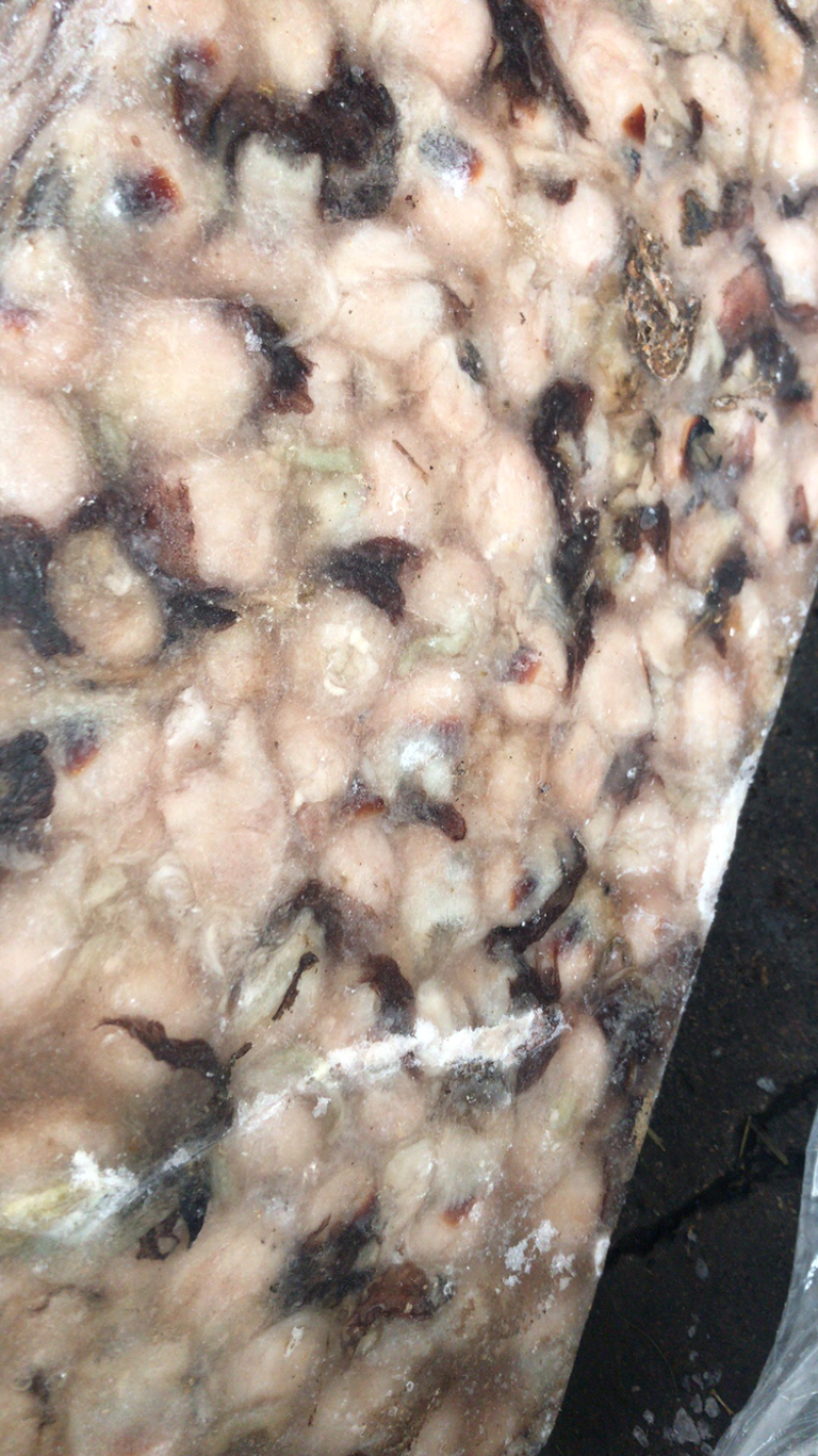 鱿鱼嘴各种规格的都有可以联系