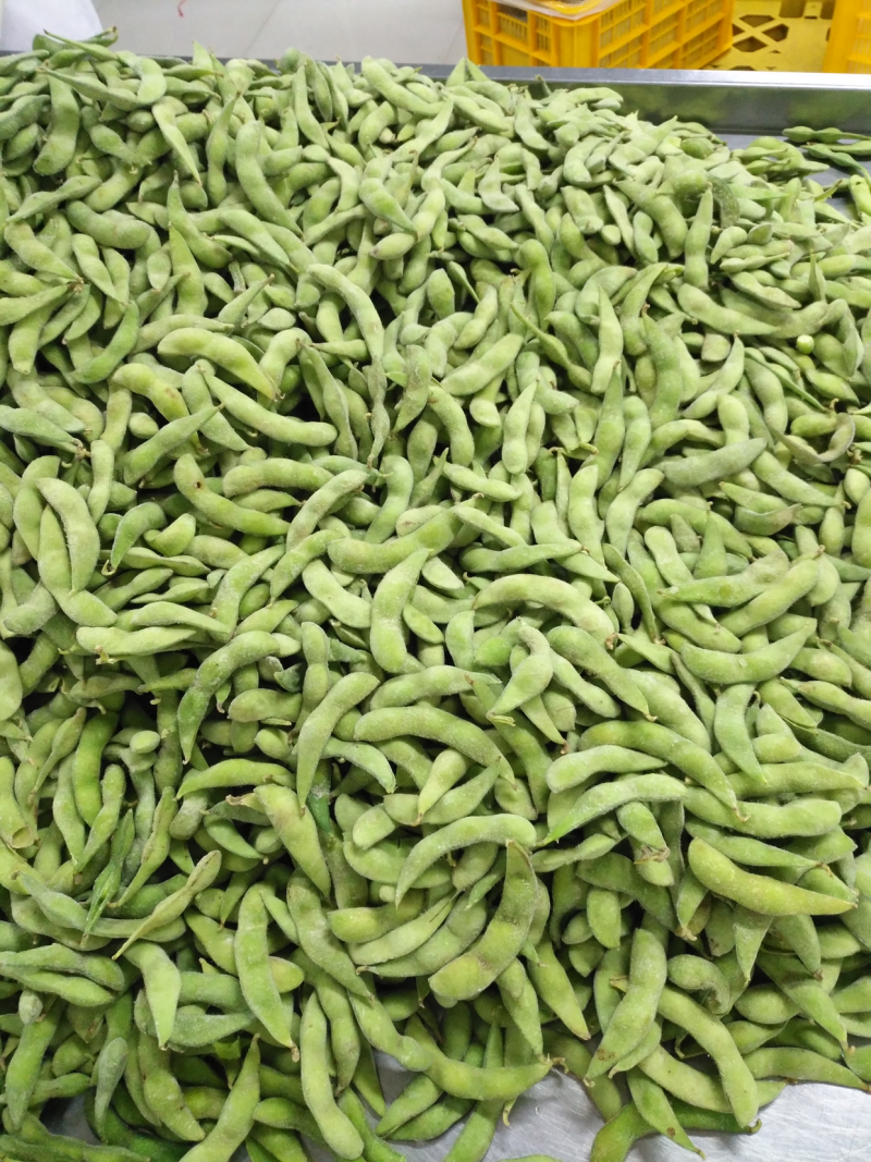 优质速冻75-3毛豆荚，75毛豆