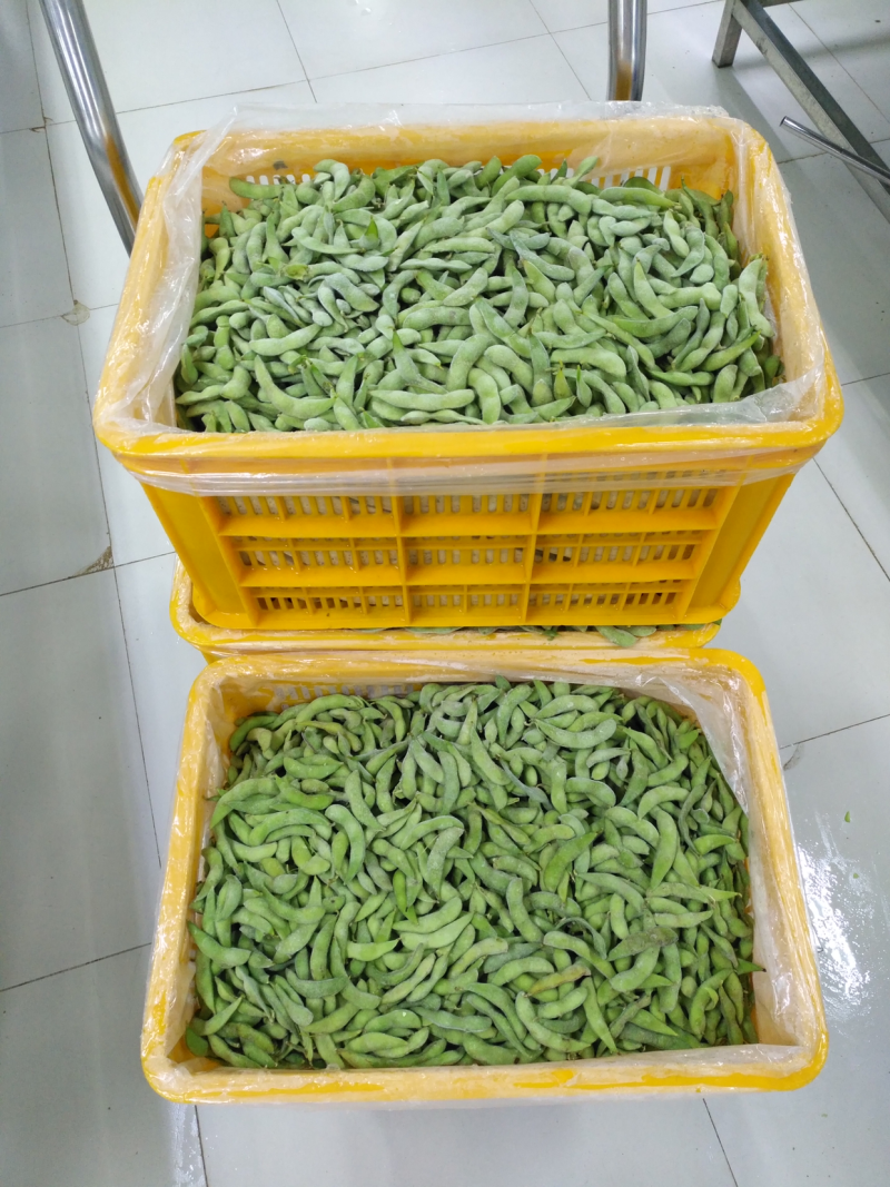 优质速冻75-3毛豆荚，75毛豆
