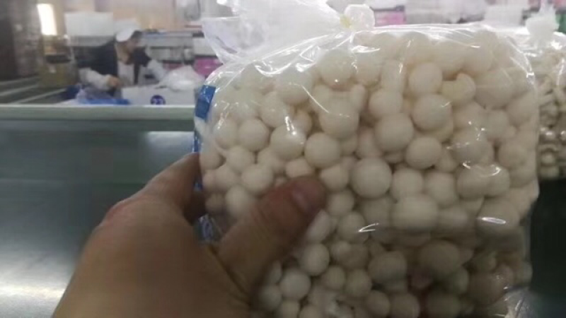 白玉菇