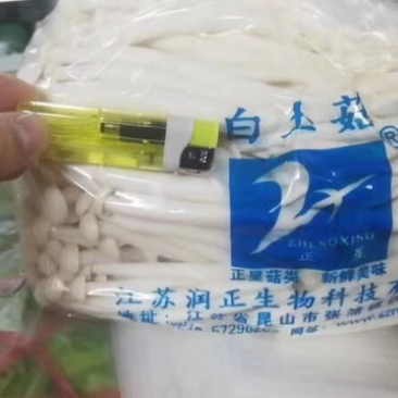 白玉菇