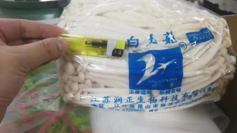 白玉菇